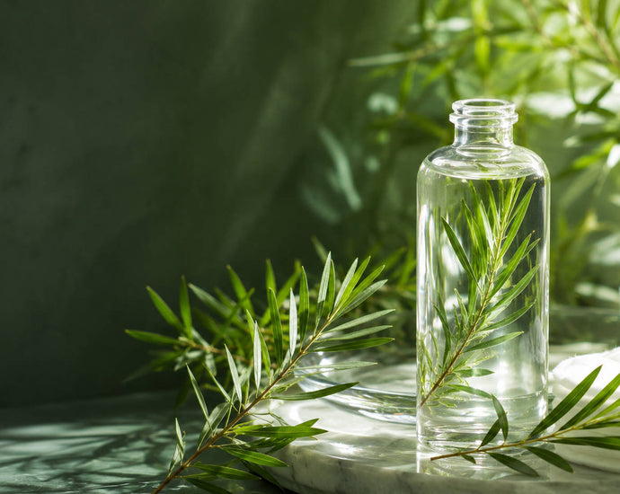 Tea Tree Oil for Skin: Benefits, Risks and Who It Suits