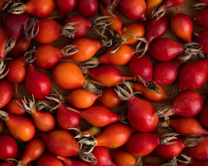 Rosehip Oil for Scars: What It May (and May Not) Do